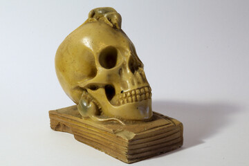 calavera perfil