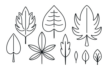 Set of Contour Leaves. Collection of outline symmetrical element of different trees - oak, maple. Coloring Foliage. Nature Icons, plant. Linear organic, natural botany. Isolated. Vector illustration.