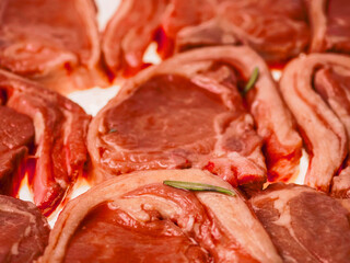 Premium quality marinated lamb loin chops and rosemary herb on white background. Uncooked raw meat on the bone in red color water based marinade to enhance dish taste.