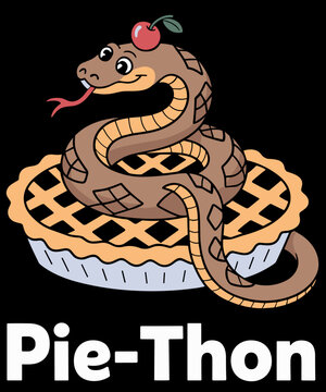 Best Ball Python Snake Ball Python