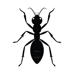 Ant silhouette vector art illustration. Black ant vector design. Cartoon ant insect . Side view black and white vector set illustration. Ant isolated on white background. 