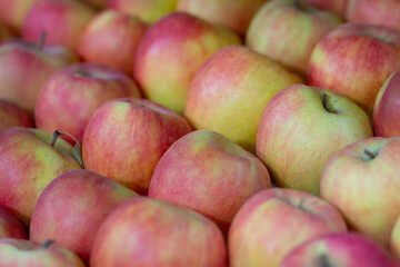 Fresh apples on the store counter