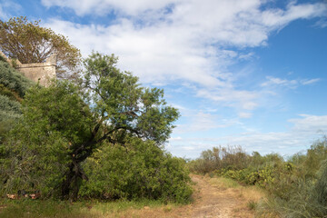Obraz premium Footpath around Calcela Velha Fortress, Cacela Velha Beach, Algarve, Portugal