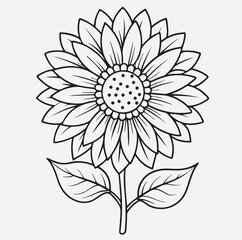 Fototapeta premium sunflower line art silhouette vector art illustration, vector illustration of a flower