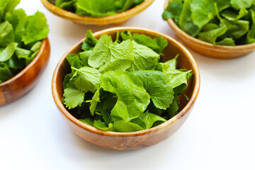 Gotu kola, fresh green leaves