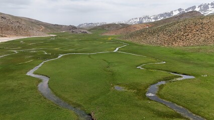 Mountain green landscape. stunning nature snow-capped mountains on the horizon first grass, stream....