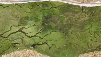 Green landscape road. High quality photo