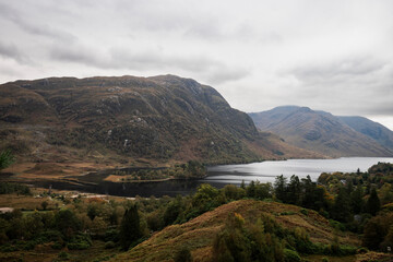 Scotland 313