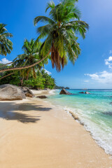 Palm trees on sandy beach palm and turquoise sea. Summer vacation and tropical beach concept.