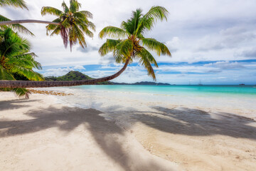 Sandy beach with palm trees and a sailing boat in the turquoise sea on Paradise island. 