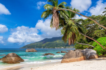 Exotic Sunny beach and coconut palms on Seychelles. Summer vacation and tropical beach concept.