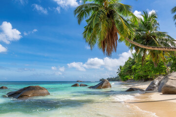 Exotic Sunny beach and coconut palms on Seychelles. Summer vacation and tropical beach concept.