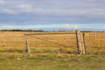 Fototapeta premium farm gate and fence in dry winter field