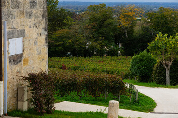 Vineyard in Bordeaux France