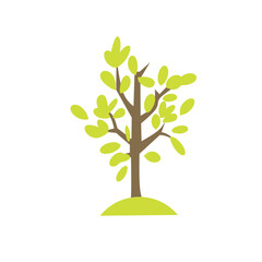 Set of tree and leaf collection hand drawn flat design vector element. botanical set of bare trees and ones with leaves and lush green