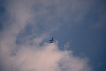 T-38C Talon