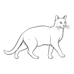 a simple line drawing of a cat. The cat is depicted with a sleek, elongated body and a pointed face. The drawing has a minimalist, sketch-like style, using only black lines on a white background.