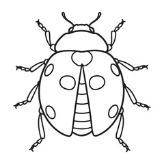 The Ladybug Illustration, This image depicts a simple, line-drawn illustration of a ladybug. The ladybug is shown in profile, with its distinctive spotted shell and six legs clearly visible. 