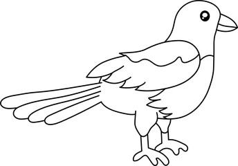 Magpie coloring page illustration
