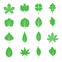 Collection of green Leafs. Outline Illustration. EPS.