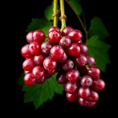 bunch of grapes