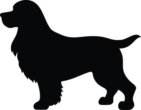 american cocker spaniel dog silhouette 