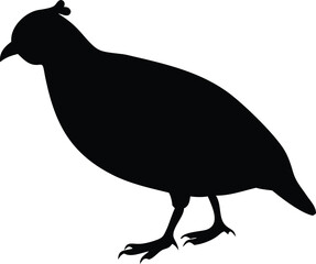 bird of quail silhouette