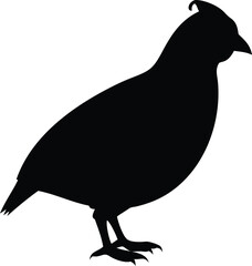 bird of quail silhouette