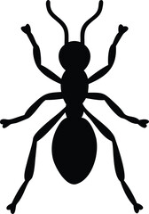minimalist ant silhouette