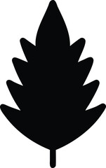 pine tree leaf silhouette