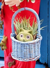 Kobold, lugt erschrocken aus dem Korb