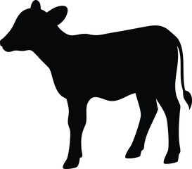silhouette of a calf