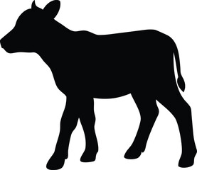 silhouette of a calf