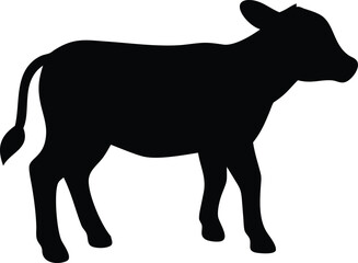 silhouette of a calf
