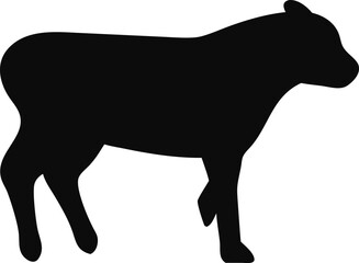 silhouette of a calf