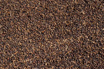 Coffee drying in the heat, coffee background