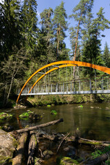 Peaceful forest clearing with a wooden bench and sandstone cliff, bathed in sunlight and surrounded by towering pine trees
