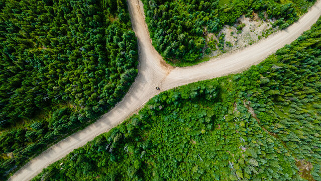 Bird's-eye view of the crossroads of dirt tracks crossing the boreal forest