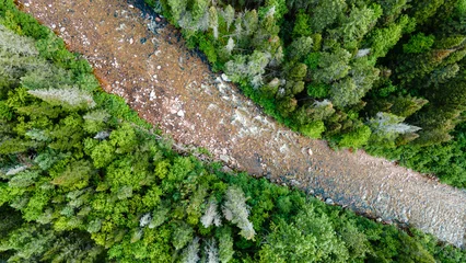 Fototapete Rund Wald Fluss A bird's-eye view of a river flowing through the boreal forest on a beautiful summer day.  © Martin