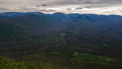Aerial view of the boreal forest bordered by mountains