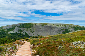 Mountain plateau on a beautiful summer day