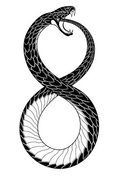 Black and white snake with curved body and detailed black scales. The snake eating its tail is curved in the shape of the number eight. Isolated illustration of a dangerous snake. Venomous reptile. 