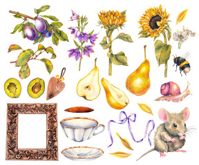 Watercolor summer set with fruits, flowers, animals, and vintage objects: pears, plums, sunflowers, bellflowers, mouse, snail, bee, frame, ribbon, teacup. Hand-painted rustic style