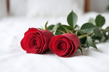 couple of red roses sitting on top of a bed © CoveRipple