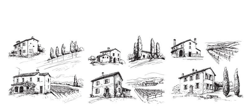 Vineyards landscapes sketched abstract digital illustration