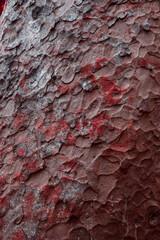 Close-up abstract texture of weathered bark with rough, scaly pattern in reddish-brown and grey tones, showing natural decay. Okura, Auckland, New Zealand