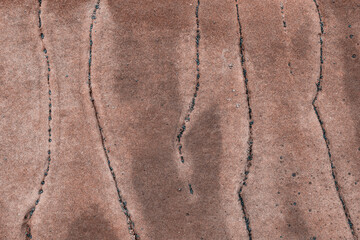 Cracks in a reddish-brown surface are filled with clusters of small blue-green marine organisms, possibly barnacles or shells.  Okura, Auckland, New Zealand