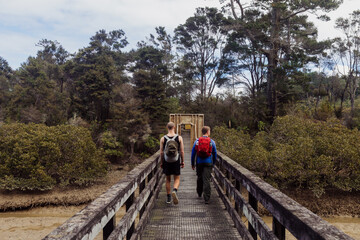 Two hikers walk on a wooden boardwalk through a forest towards an entrance structure, exploring nature. Okura, Auckland, New Zealand