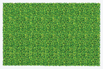 Green grass field background. Texture of green lawn grass. Green grass seamless texture. Vector illustration.