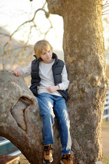 A cute preteen boy is sitting on a branch of a large sycamore tree